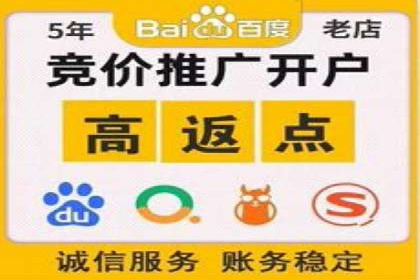 百度SEO优化公司案例：打造品牌网络曝光新高度